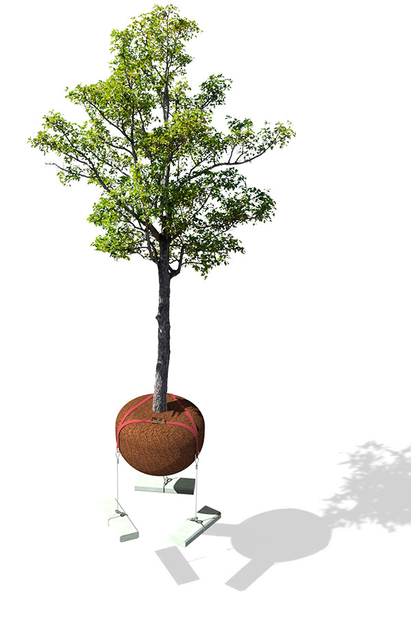 3D Render of a tree anchored with HULK Deadman Anchor Underground Tree Kit