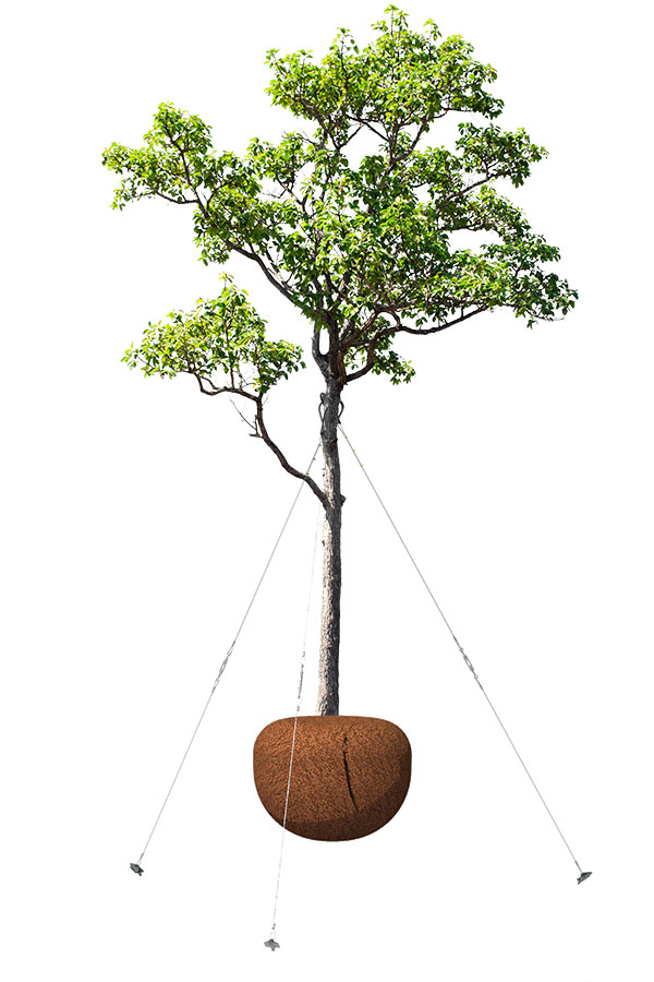 3D Render of a tree anchored with HULK Earth Anchor Tree Guy Kit