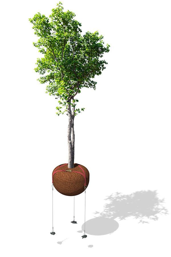 3D Render of a tree anchored with HULK Earth Anchor Underground Tree Kit